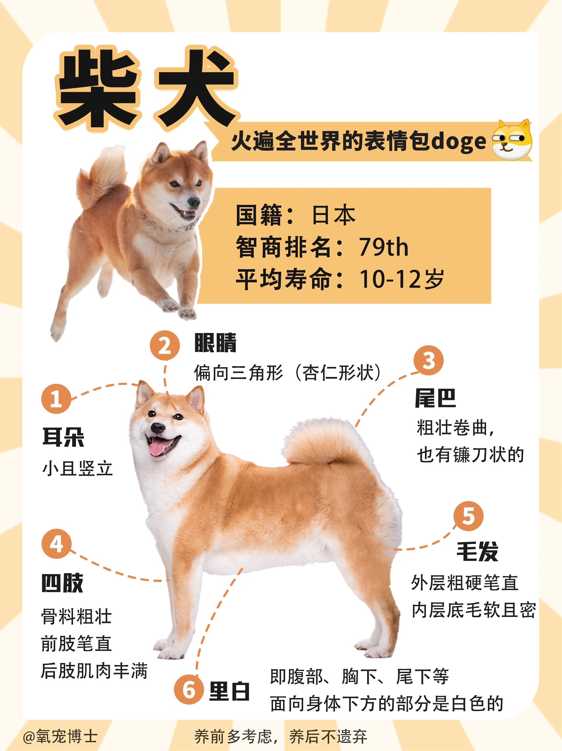 buffdoge苹果手机版苹果cowabunga下载地址-第2张图片-太平洋在线下载