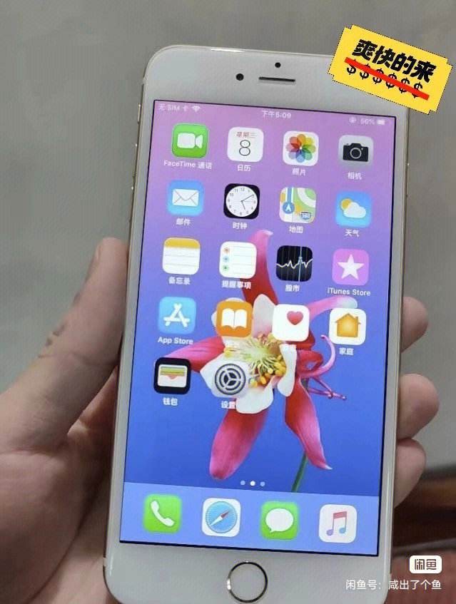 苹果6pluswifi版苹果6plus忘记锁屏密码怎么办