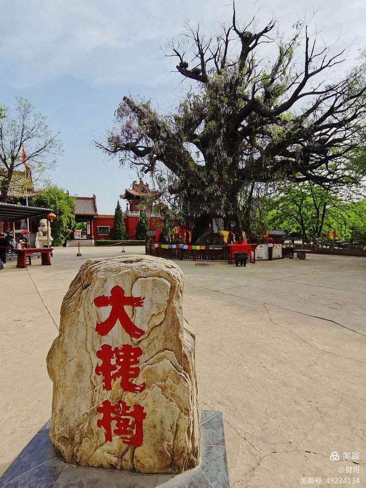 洪洞打林手机版下载洪洞打林同城游下载电脑版