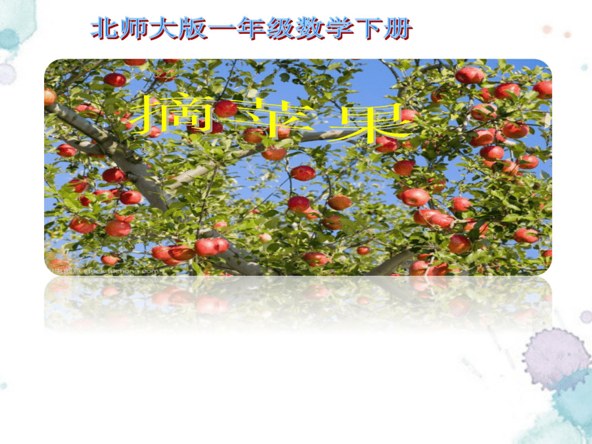 北师版摘苹果说课稿教师ppt模板免费下载素材