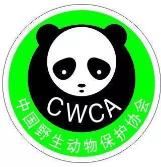 网易熊猫客户端网易官服官网入口
