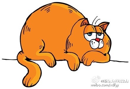 胖客户端英文胖客户端避免出错用什么内存