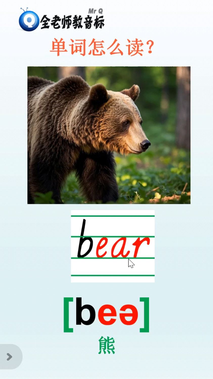 bear安卓版bearbrick暴力熊官网